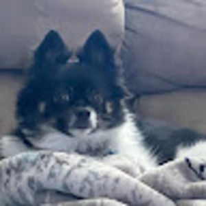 Meet your Posher, Timberly anne